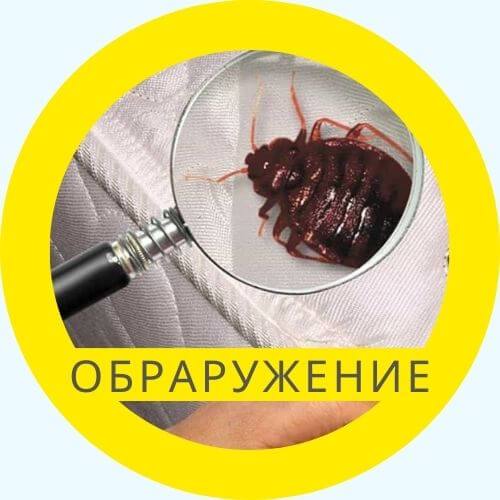 Как обнаружить клопов в квартире?