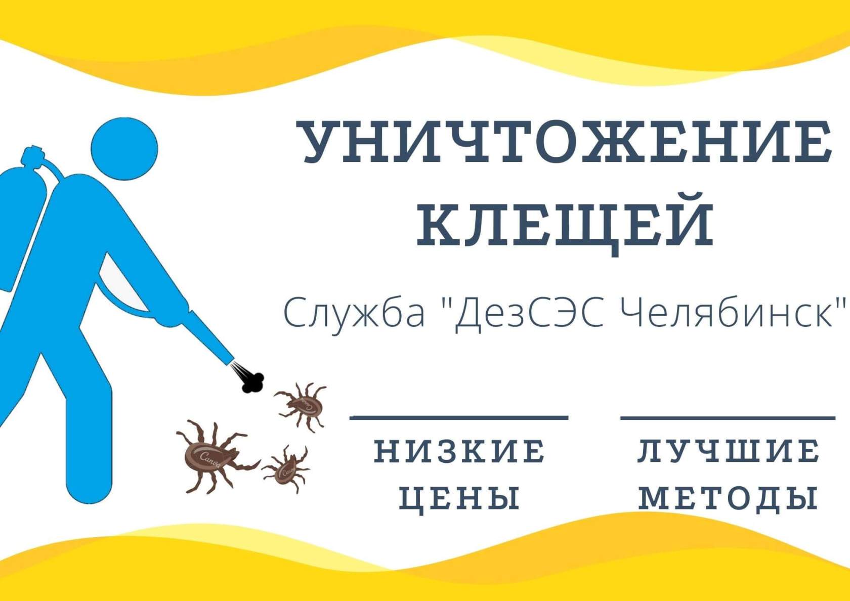 Уничтожение клещей в Челябинске - низкие цены, хорошие отзывы