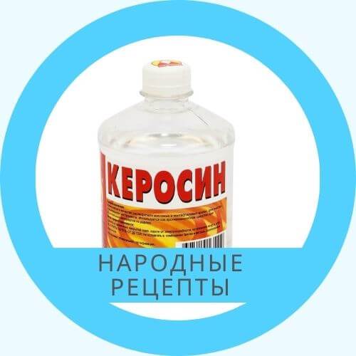 Выведение клопов народными средствами