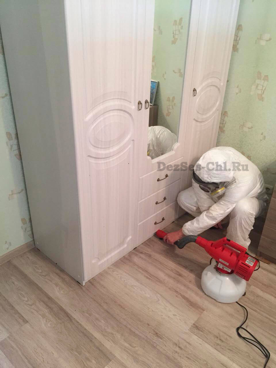 Уничтожение клопов в Челябинске