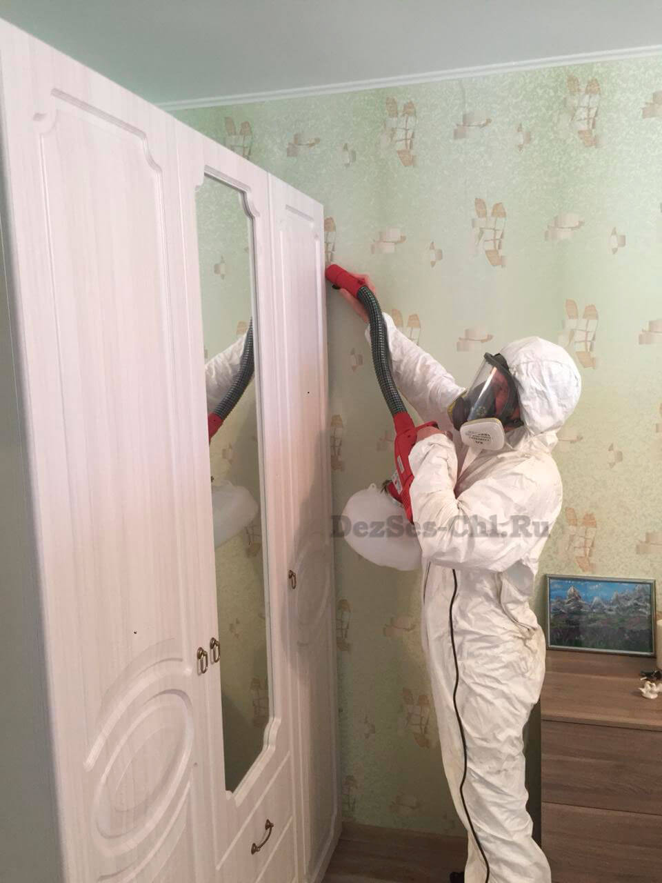 Уничтожение клопов Челябинск цены