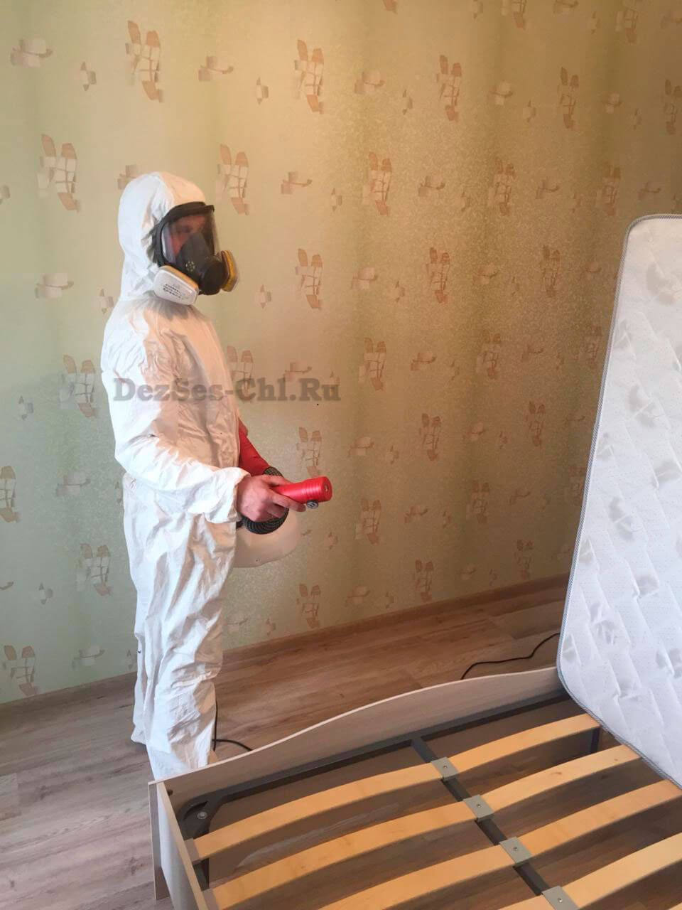 уничтожение клопов Челябинск