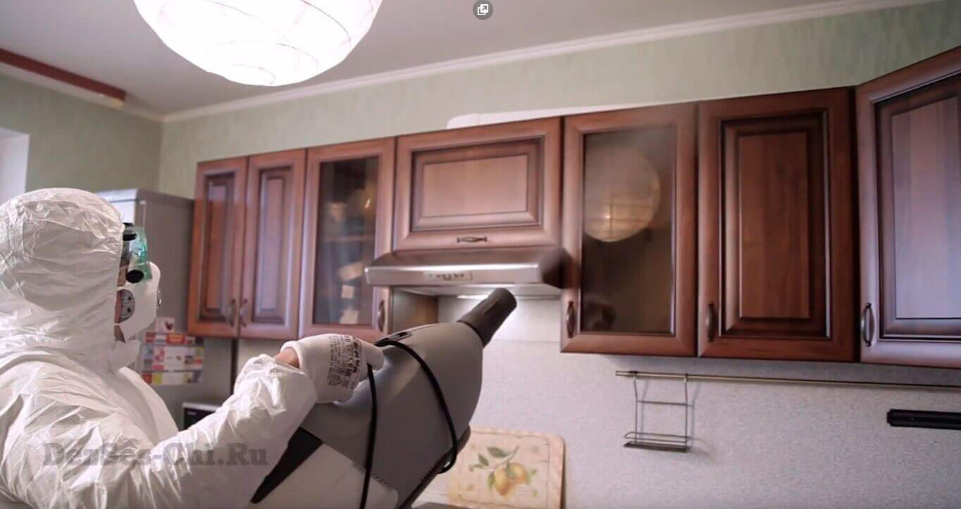 Обработка от коронавируса Челябинск цены